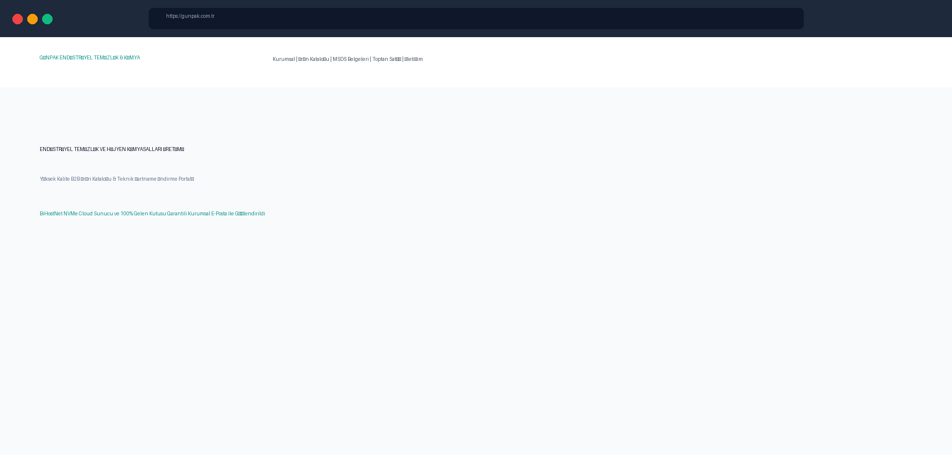 Günpak Industrial Cleaning: B2B Product Catalog & Digital Portal website screenshot